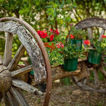 Villa Titti B&B Orciano di Pesaro Bagian luar foto