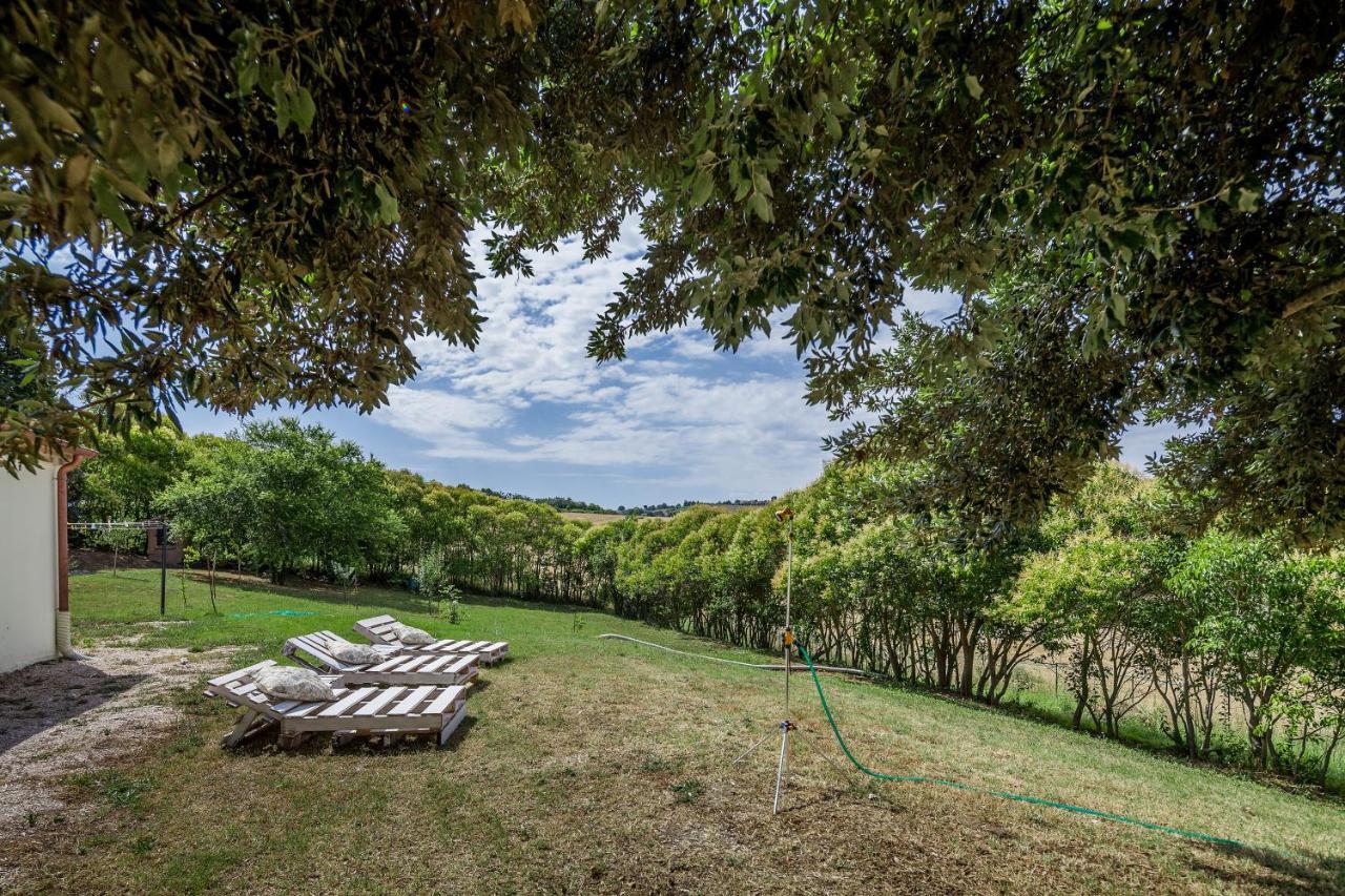 Villa Titti B&B Orciano di Pesaro Bagian luar foto