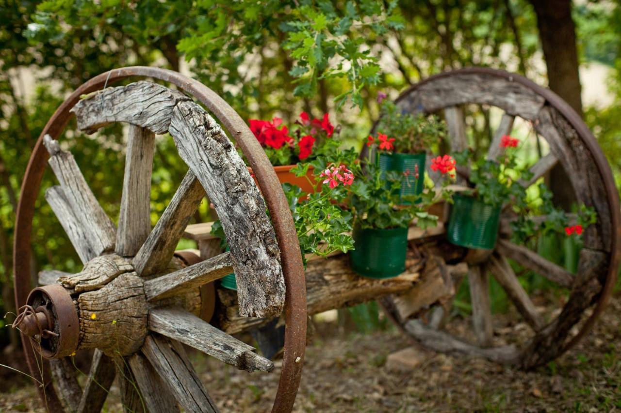 Villa Titti B&B Orciano di Pesaro Bagian luar foto