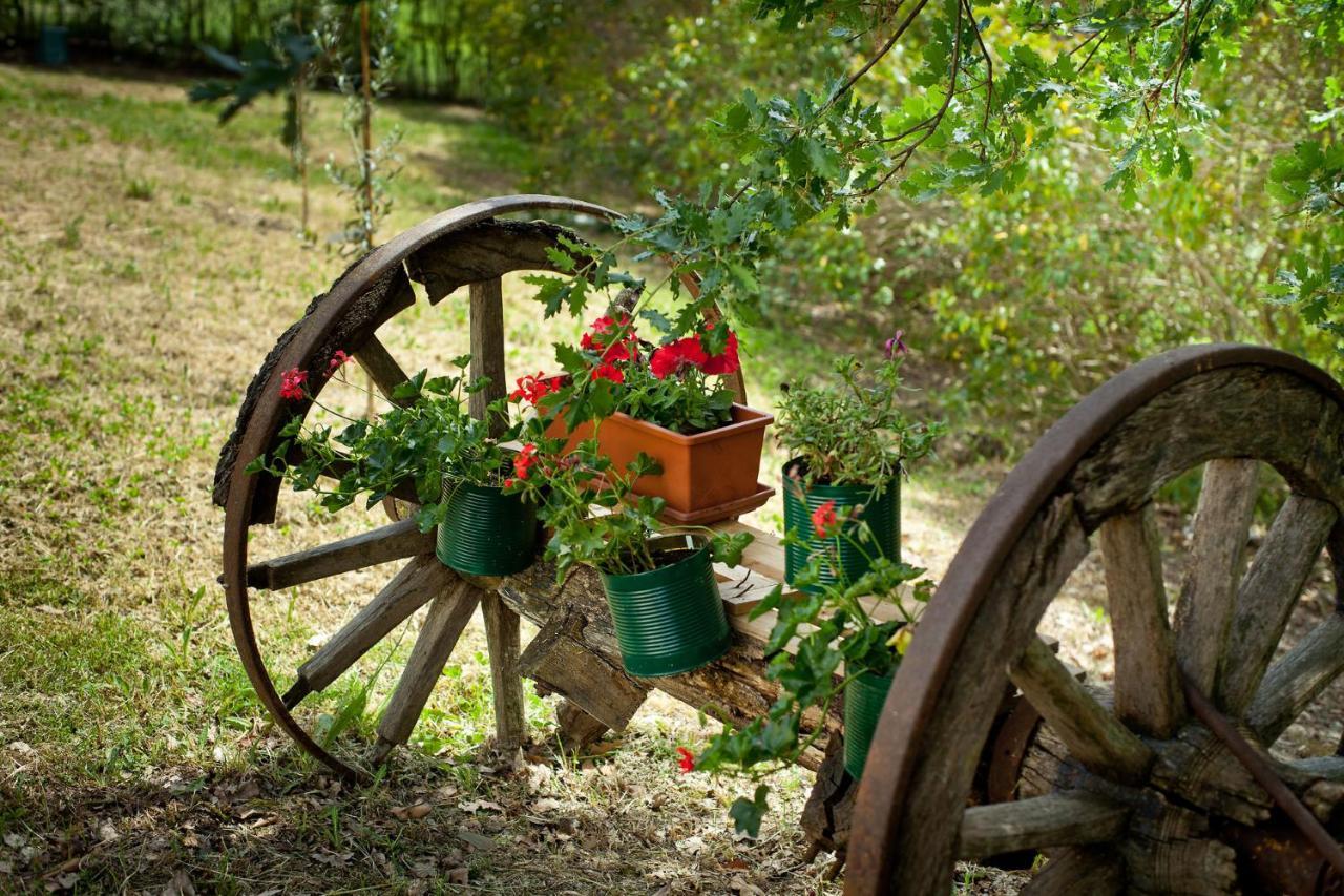 Villa Titti B&B Orciano di Pesaro Bagian luar foto